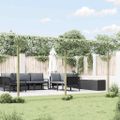 vidaXL Záhradná pergola 410x40x203 cm, drevo
