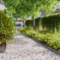 vidaXL Obrubník trávnika 10 ks 10 x 103 cm Antracitová