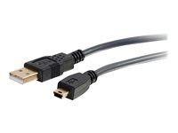 Kabel USB - USB (M) do mini-USB typ B (M) - USB 2.0 - 5 m - lisovaný - uhel