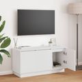 vidaXL TV skrinka 100 x 38 x 49 cm Biela Kompozitné drevo