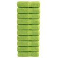 vidaXL Prémiové umývacie utierky SOLUND 10 ks jablkovo zelené 30x30 cm 600 g/m²