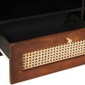 vidaXL TV skrinka Hnedá 80 x 33,5 x 46 cm Masívne mango drevo