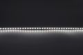 Modee LED pás DC24V 9,6W/m 128LED/m 8mm IP20 4000K (1150 lm/m) B5 (ML-LS24V48W128L/M4000KB5)