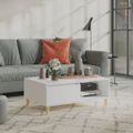 vidaXL Konferenčný stolík biely 90x60x35 cm drevotrieska