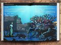 PIRATE BORG Core Rulebook