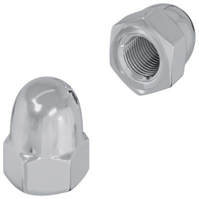 vidaXL Matica 2 pcs Strieborná M6 x 10 mm Železo