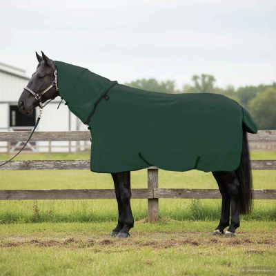 vidaXL Plášť pre kone Plná tmavozelená 155 cm Polyester