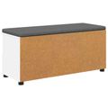 vidaXL Predsieňová lavica Biely 100 x 38 x 46 cm