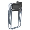 vidaXL Režisérske stoličky 2 ks, oceľ, sivé