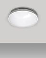 LED stropné svietidlo Q-230CP 12W 4000K ø25cm/kruhové biele QTEC