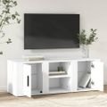 vidaXL TV skrinka biela 100x31,5x35 cm spracované drevo