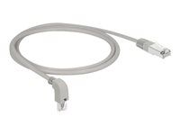 Patch kábel - RJ-45 (M) zahnutý nadol do RJ-45 (M) rovný - 1 m - S/FTP - CAT 6a - neobsahuje halogén - sivá