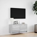 vidaXL TV nástenná skrinka s LED svetlami sivá sonoma 80x31x38 cm
