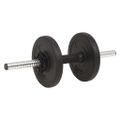 vidaXL Súprava činiek barbell a dumbbell 30 kg