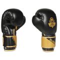 Boxerské rukavice DBX BUSHIDO B-2v10 14 oz