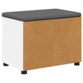 vidaXL Predsieňová lavica Biely 60 x 38 x 46 cm