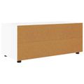 vidaXL TV skrinka 100 x 48 x 43 cm Vysoký lesk bielej Kompozitné drevo
