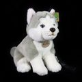 Plyšový pes husky s vodítkom 28 cm ECO-FRIENDLY