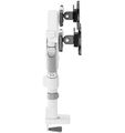 Neomounts DS65S-950WH2  Neomounts NEXT One SL Desk Mount, double display, sliding VESA (topfix clamp/grommet), white Držák, VESA, stolní, pro 2 ploché/zakrivené monitory, úhloprícka 24–34", náklon 140°, otácení 180°, rotace 180°, nosnost 22kg, bí