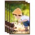vidaXL Fotorámiky na stenu alebo stôl 3 ks bronzové 42x59,4 cm MDF