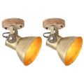 vidaXL Industriálne nástenné / stropné lampy 2 ks mosadzné 20x25 cm E27