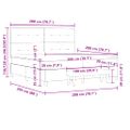 vidaXL Posteľ s pružinovým rámom Svetlosivá 200 x 200 cm Zamat
