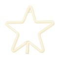 Neon LED CHRISTMAS PENTASTAR warm white FLNE22 Forever Light