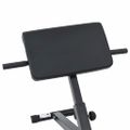 vidaXL Bench na hyperextenziu Čierna 100,5 x 70 x 78 cm