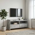 vidaXL TV skrinka 100 x 33 x 47 cm Betónovo sivá Kompozitné drevo