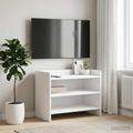 vidaXL TV skrinka 60 x 33 x 47 cm Biela Kompozitné drevo