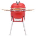 vidaXL Kamado gril s udiarňou keramika 33 cm