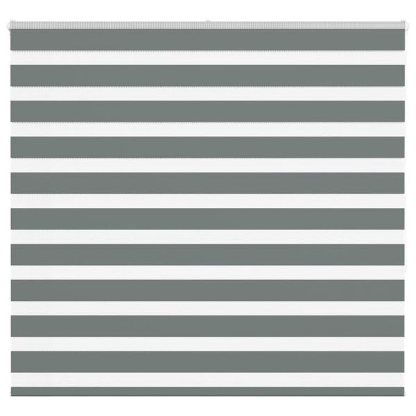 vidaXL Zebra roleta tmavošedá 155x150 cm šírka látky 150,9cm polyester