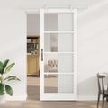 vidaXL Posuvné dvere 93 x 232 cm Masívne borovicové drevo a sklo Biela