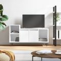 vidaXL TV skrinka lesklá biela 100x35x55 cm spracované drevo