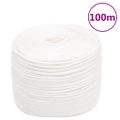 vidaXL Lodné lano biele 10 mm 100 m polypropylén