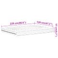 vidaXL Penový matrac biely 120x220 cm tvrdosť H2 H3