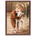 vidaXL Fotorámiky na stenu alebo stôl 3 ks hnedé 29,7x42 cm MDF