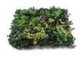 Umelá zelená stena G21 Listo Herb, 50x50 cm