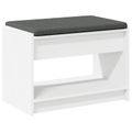 vidaXL Predsieňová lavica Biely 63 x 38 x 45 cm