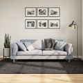 vidaXL Koberec ISTAN vysoký vlas lesklý vzhľad antracitový 160x230 cm