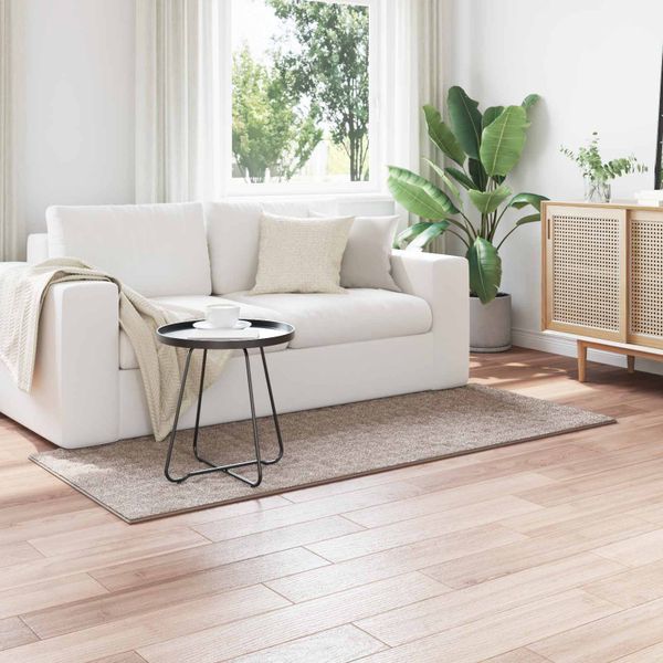 vidaXL Kusové koberce Obdĺžnikový SIROLO Piesková 200 x 80 cm