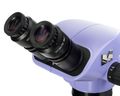 Hlavica mikroskopu MAGUS Stereo 7BH
