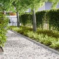 vidaXL Obrubník trávnika 20 ks 100 x 0,05 x 15 cm Pozinkovaná oceľ