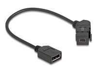 Keystone Module Mini DisplayPort panel m